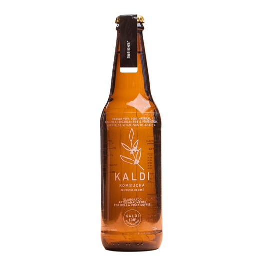 ZZ BV-11-KOMBUCHA JENGIBRE 360ML - BELLA.VISTA - Compralo en Calvbrunnen