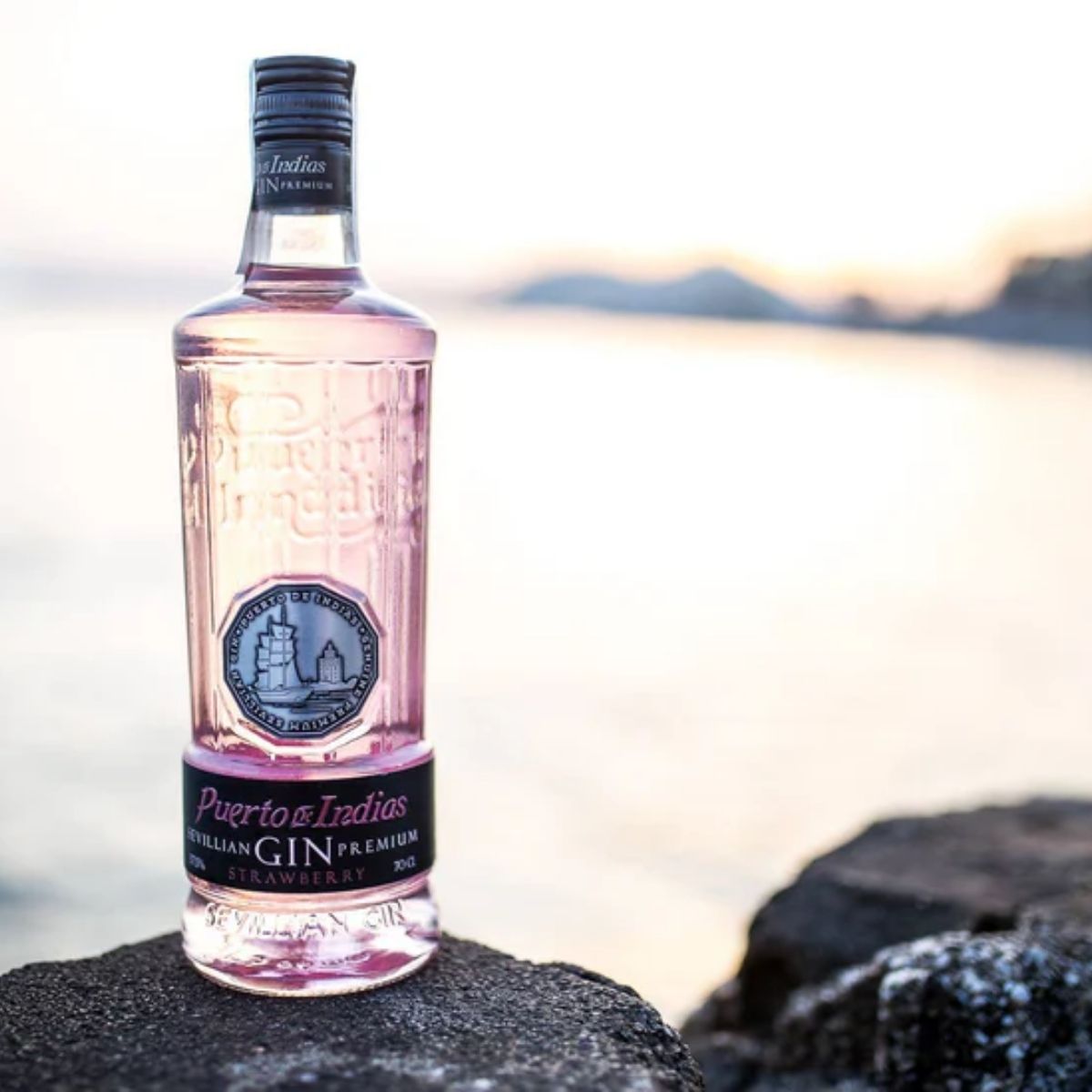 ZZ NF-02-NF 750ML GIN PUERTO DE INDIAS STRAWBERRY